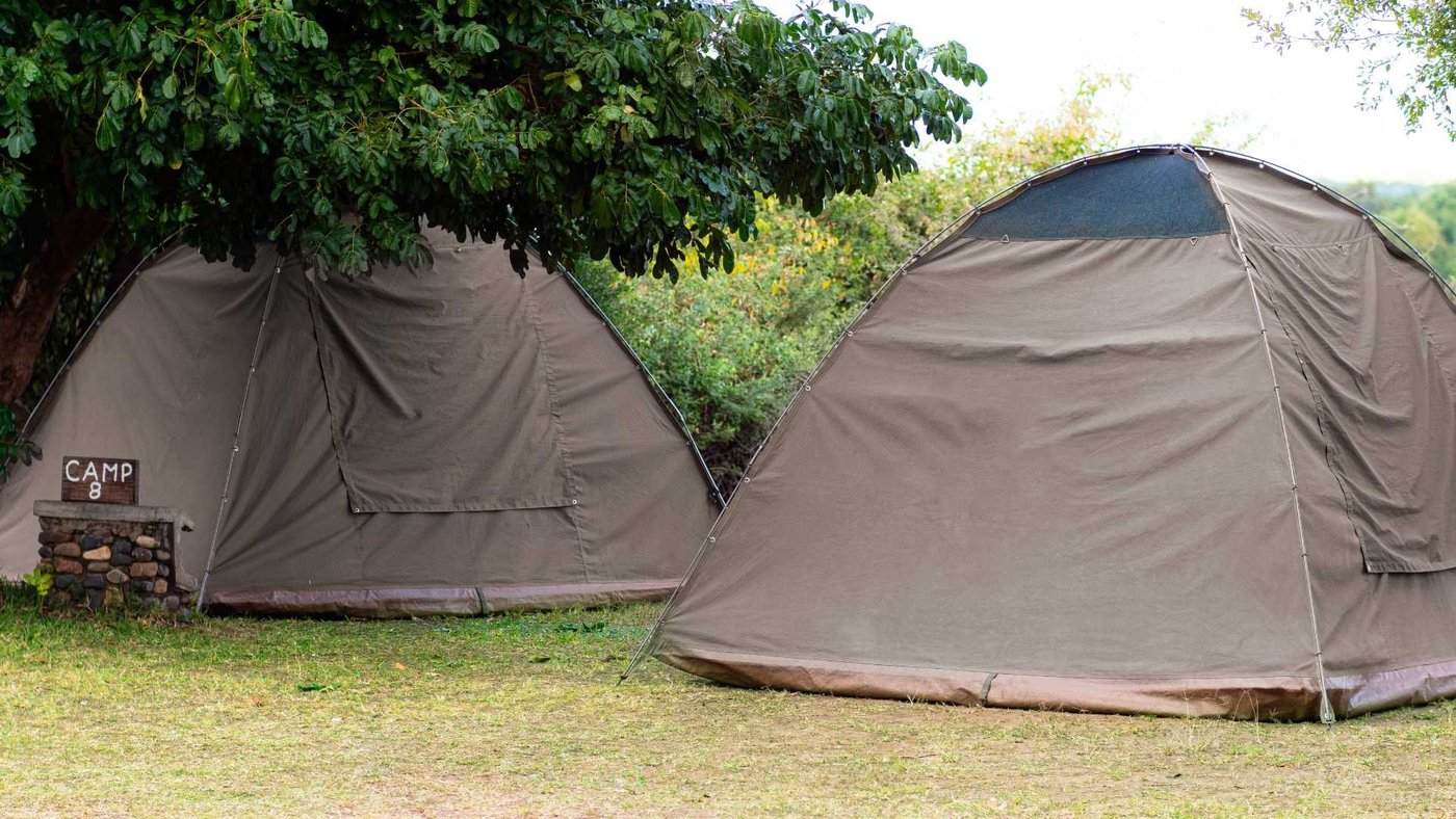Zwei Kuppelzelte unter einem Baum markieren Campingplatz acht in Kiambi Safari Lodge.