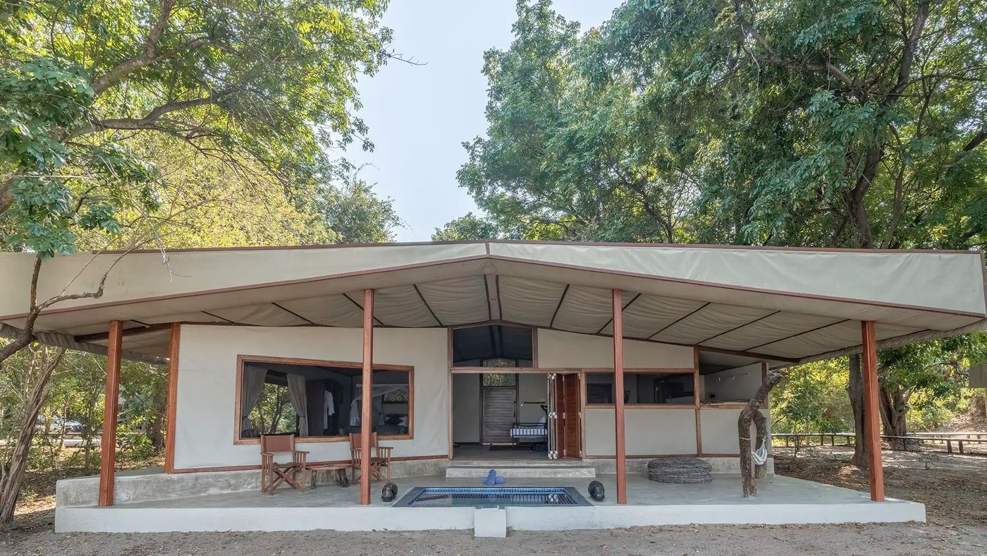 La tente de safari ouverte et la piscine plongeante de Potato Bush Camp implantées parmi de grands arbres dans le Lower Zambezi.