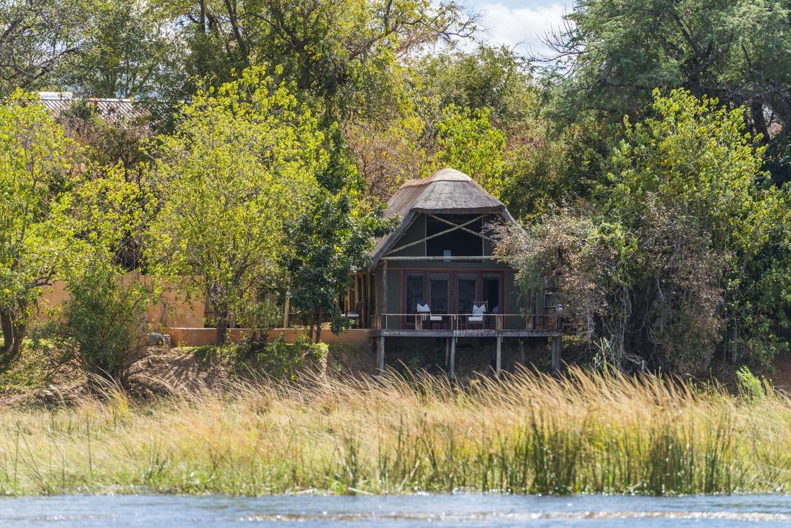 Un chalet au toit de chaume de Royal Zambezi Lodge s'élève parmi les roseaux à Lower Zambezi.