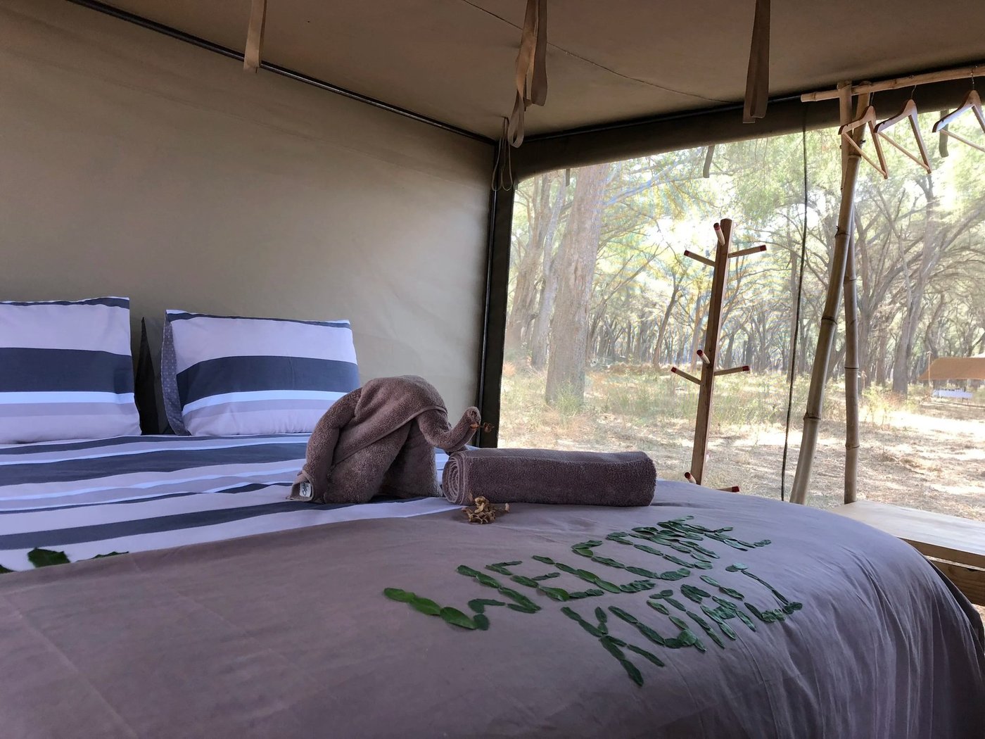 Une chambre de tente s'ouvre sur la forêt à Tusk & Mane Kutali Camp en Lower Zambezi.