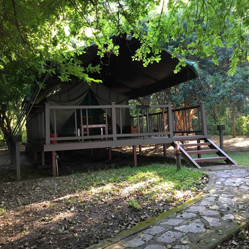 Une tente en toile sur une terrasse surélevée se tient parmi les arbres au Wildtracks Lodge en Lower Zambezi.
